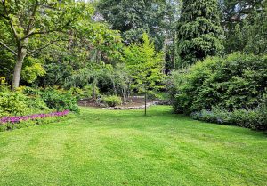 Optimiser l'expérience du jardin à Maisonnisses